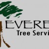 Everett Tree Service