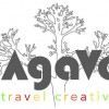 Agave Travel Creative