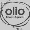 Olio Flowers & Plants