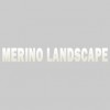 Merino Landscape