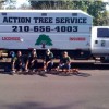 Action Tree Service