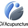 GV Acupuncture