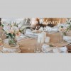 Lynn Edward Events