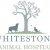 Whitestone Animal Hospital