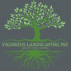 Vigorous Landscaping