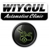 Wiygul Automotive Clinic