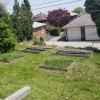 GreenField Lawn Care & Landscaping