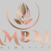 Ambal Permanent Cosmetics Makeup