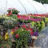 South Ridge Nursery