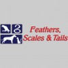 Feathers Scales & Tails Veterinary Hospital