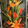 Ft. Myers Express Floral & Gifts