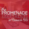 The Promenade Apartments At Pinnacle Hills