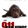 911 Bail Bonds