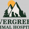 Evergreen Animal Hospital