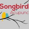 Songbird Acupuncture