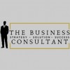 The Business Consultant