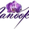 Nanooks Designs