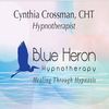 Blue Heron Hypnosis