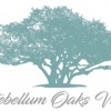 Antebellum Oaks Venue