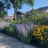 Litchfields Landscape Design