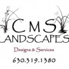 CMS Landscapes