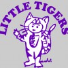 Little Tigers Preschool