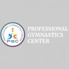 Professional Gymnastics Center