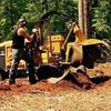 Eager Beaver Stump Retriever