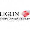 Ligon Hydraulic Cylinder Group