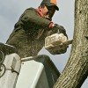 Woodchuck Tree Service