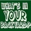 Backyardcity.com