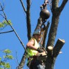 Baker Tree Service