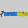 Norwin Ninjas Karate