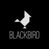 Blackbird