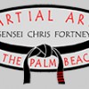 Martial Arts Of The Palm Beaches