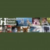 Harrodsburg Animal Hospital