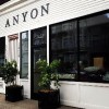 Anyon Atelier