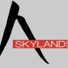 Skylands Acupuncture & Wellness Center