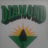 Diamond Lawn & Landscaping