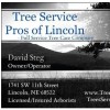 Tree Service Pros Of Lincoln