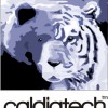 Caldiatech