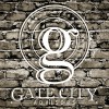 Gate City Advisors