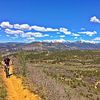 Durango Mountain Bike Tours