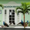 Space Coast Vacations