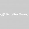 Marcellus Nursery