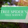 Tree Spider's Tree Service