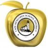 Cape Henlopen School District