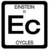 Einstein Cycles