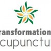 Transformational Acupuncture