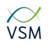 VSM Engineering